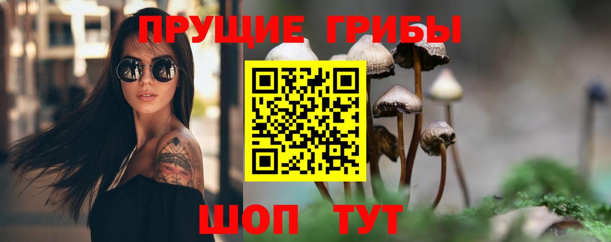 Галлюциногенные грибы Magic Shrooms Ливны